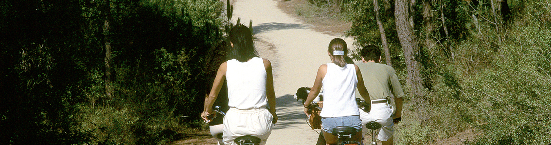 balade en vélo en Vendée