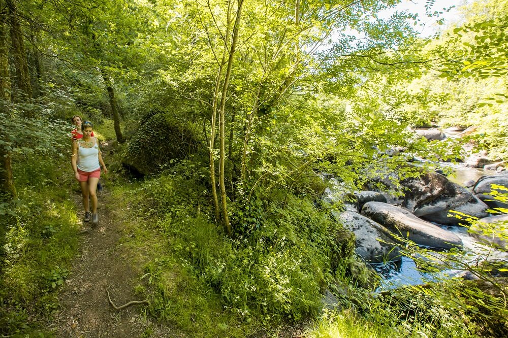 Se ressourcer en Vendée, entre Montaigu, les Herbiers et les Essarts